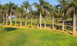 Top 5 Public Parks to Visit in Thane